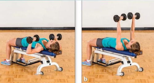 如何锻炼出健硕胸肌 5个高效动作与腿部训练器的协同作用